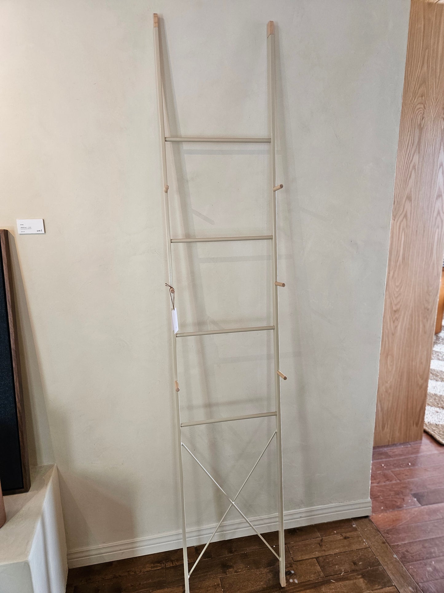 Hanging Ladder